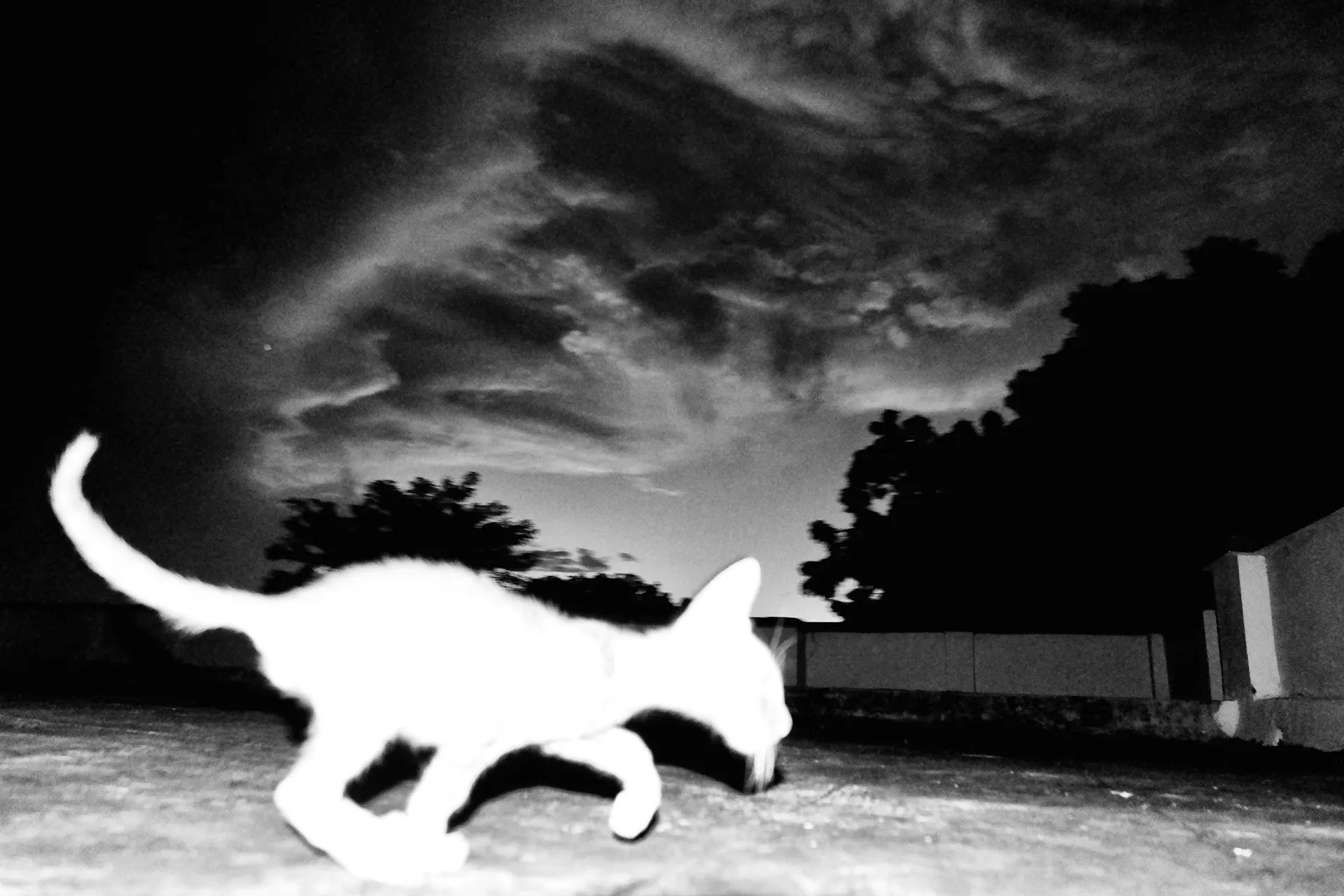 Street Photography Black & White 21